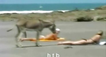 বিউটি মিয়েলা আবেগের সাথে পর্ন 2014-এ তার ক্লিন-শেভেন সেক্সি বিএফ সেক্সি বিএফ বিএফ ভগকে সন্তুষ্ট করে।