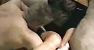 অত্যাশ্চর্য মেয়ে ডাবলু ডাবলু সেক্সি ভিডিও স্পষ্টভাবে একটি বন্ধু দ্বারা fucked হয়