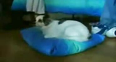 অপেশাদার পায়ু লোক একটি কুক্কুট সঙ্গে অঙ্কুর এবং পাছা উপর বাঙালি বিএফ সেক্সি cums