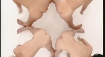 পায়ু চোদা পরে একটি তরুণ বিএফ সেক্সি রাশিয়ান বেশ্যা মুখের উপর কাম