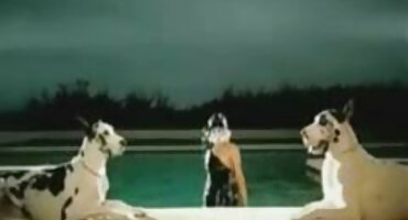 একটি blowjob পরে, একটি বাংলা সেক্সি বিএফ লোক তার পেটে একটি ছানা রাখা এবং উপর থেকে একটি বিন্দু fucked